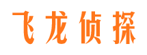 龙城市调查公司